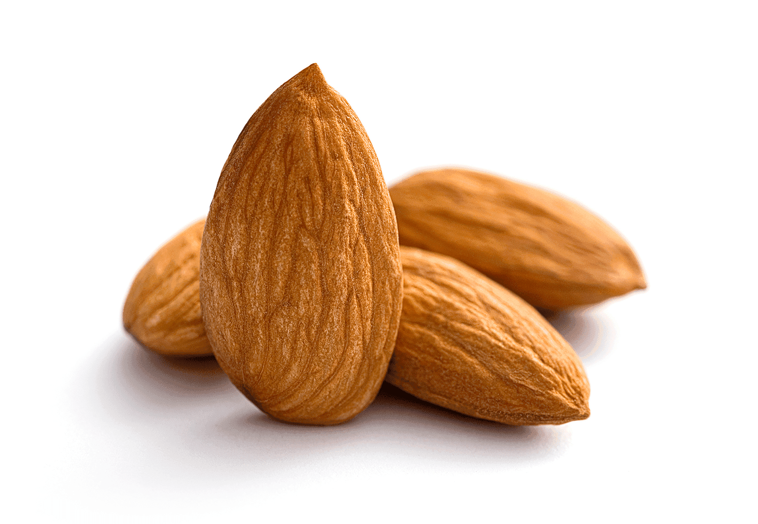 Close-up of California almonds