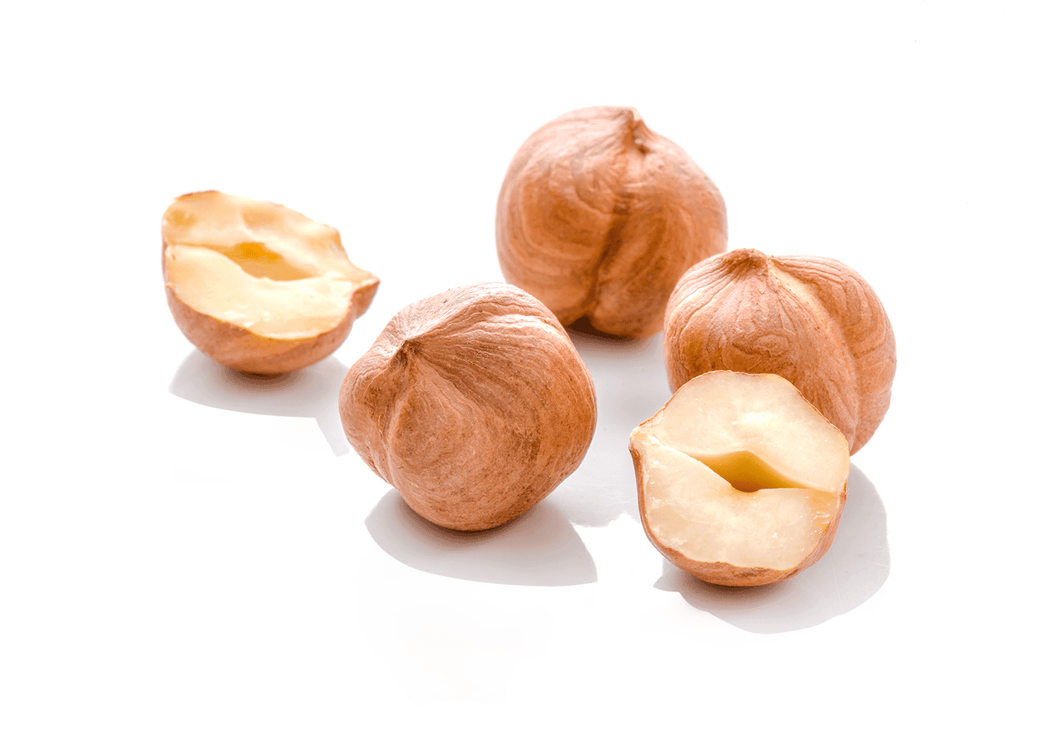 Close-up of Oregon hazelnuts